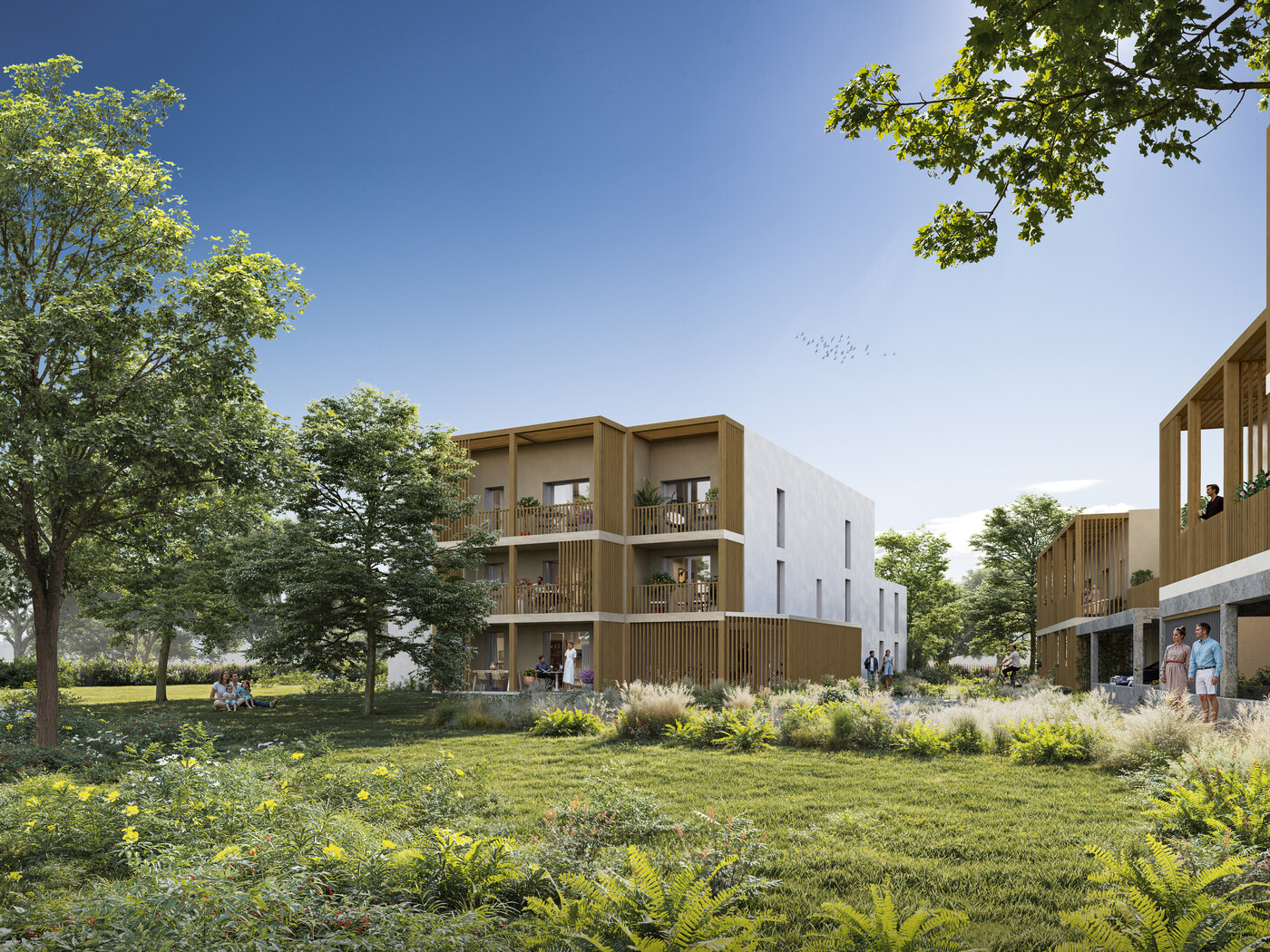 Programme neuf Boisea