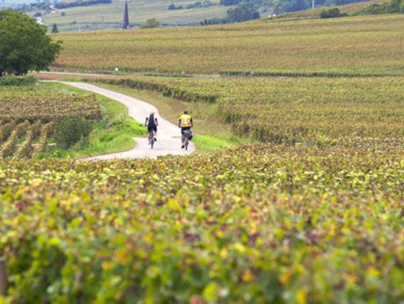 Bordeaux, le plus beau vignoble du monde