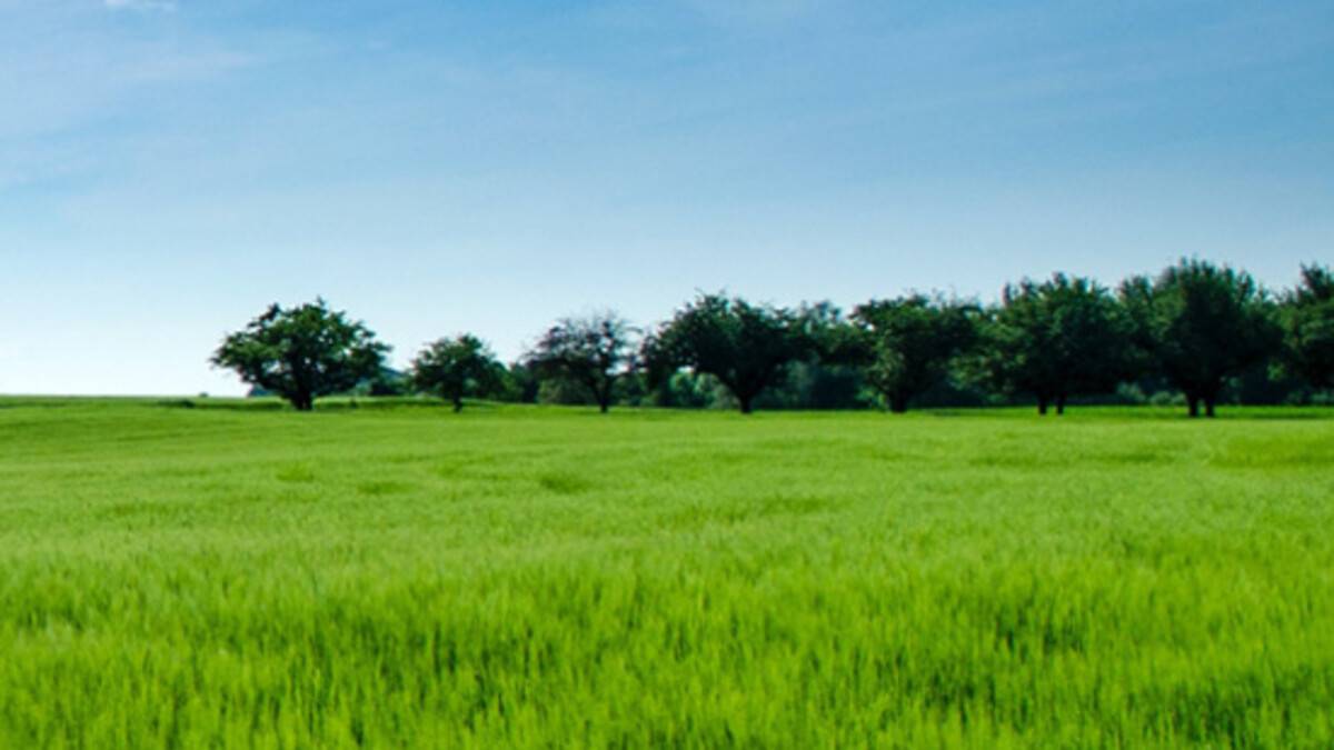 Vous avez un terrain à vendre ?