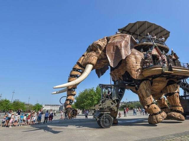 elephant-3482667_640.jpg elephant-3482667_640.jpg