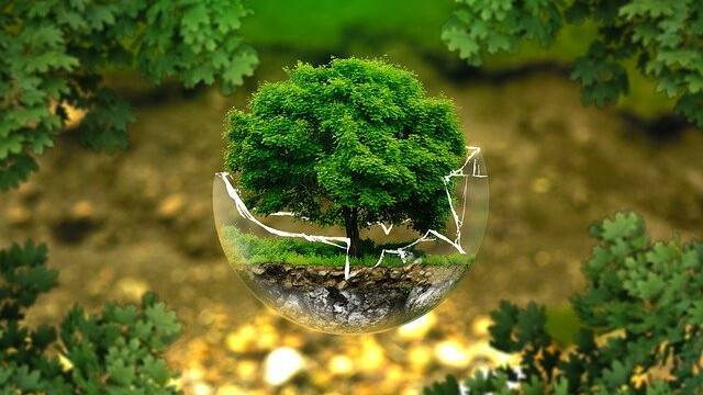 environmental-protection-326923_640.jpg environmental-protection-326923_640.jpg