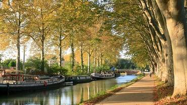 canaldumidi-3412865_640.jpg canaldumidi-3412865_640.jpg