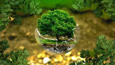 environmental-protection-326923_640(1).jpg environmental-protection-326923_640(1).jpg