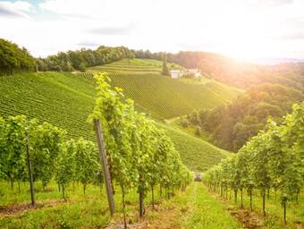 Bourgogne-Franche Comté